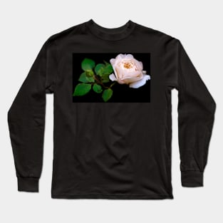 Gentle light pink rose against black background Long Sleeve T-Shirt